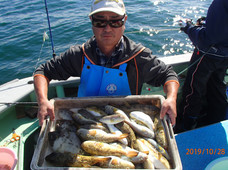 七福丸 釣果