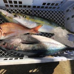 Sea Frend 片山丸 釣果