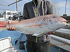 遊漁船 未紗奈 釣果