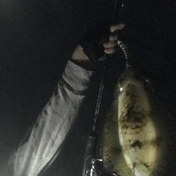 北風に強い地磯で秋イカ狙いのエギング釣果