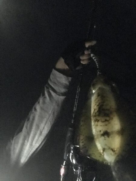 北風に強い地磯で秋イカ狙いのエギング釣果