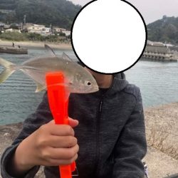 連休にサビキとエギングを楽しむファミリーフィッシング