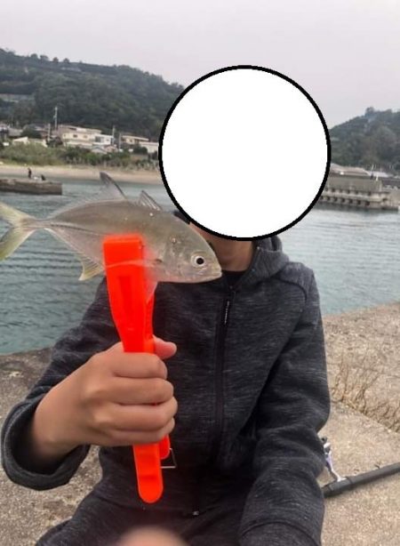 連休にサビキとエギングを楽しむファミリーフィッシング