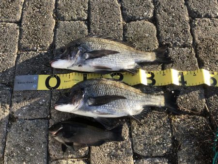 フカセ釣りプラクティス