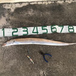 ドラゴンまであと少し！