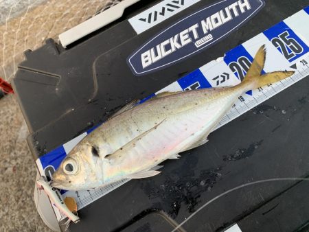 なんでもロッド