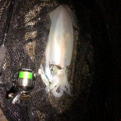 ギリギリですがキロアップでました