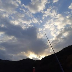 イカの気持ち６