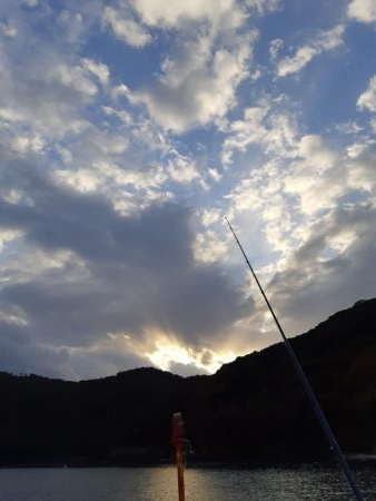 イカの気持ち６