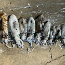 終盤だけど連発