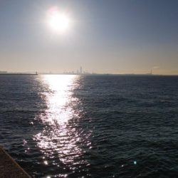 朝マヅメむこいち