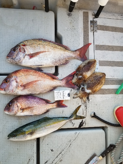 明石ジギング、タイラバ