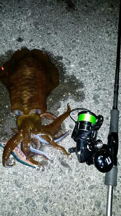 朝マズメ前に1杯