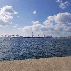 まだまだいける。