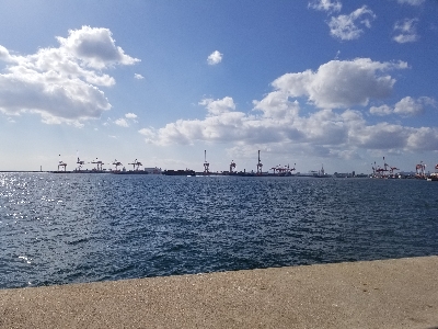 まだまだいける。