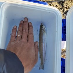 そろそろシーズン終了のキス♪