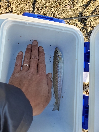 そろそろシーズン終了のキス♪