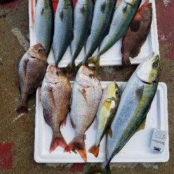 明石、タイラバ、ジギング