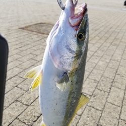 やっとの………