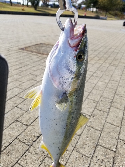 やっとの………