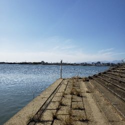 ハゼ狙いが(笑)