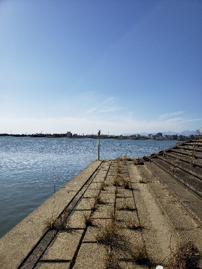 ハゼ狙いが(笑)