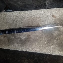 タチウオからの青物