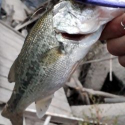 スーパースレッジで！！