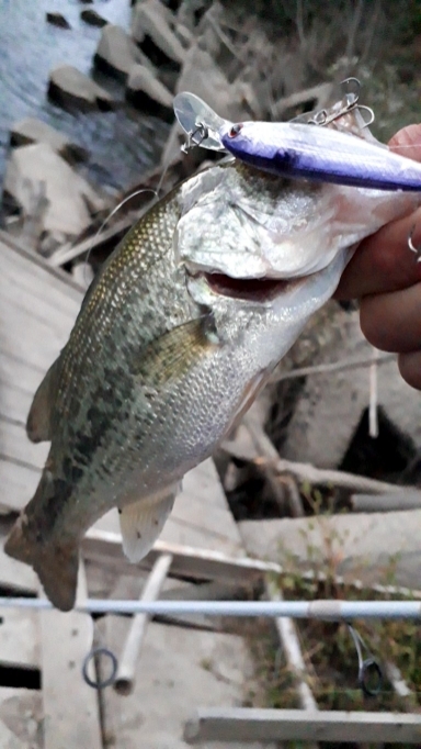 スーパースレッジで！！