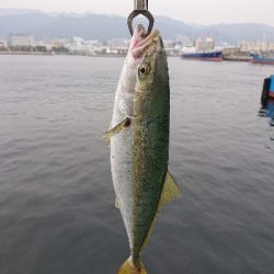 激渋の中、なんとか