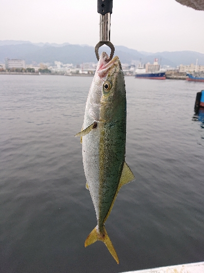 激渋の中、なんとか