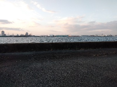 チビカサゴ大漁