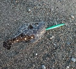 香南市サーフ ショアジギ