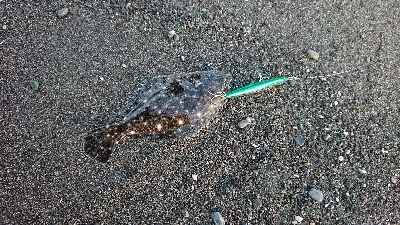 香南市サーフ ショアジギ