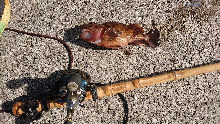 コフダイ釣りと探り釣り
