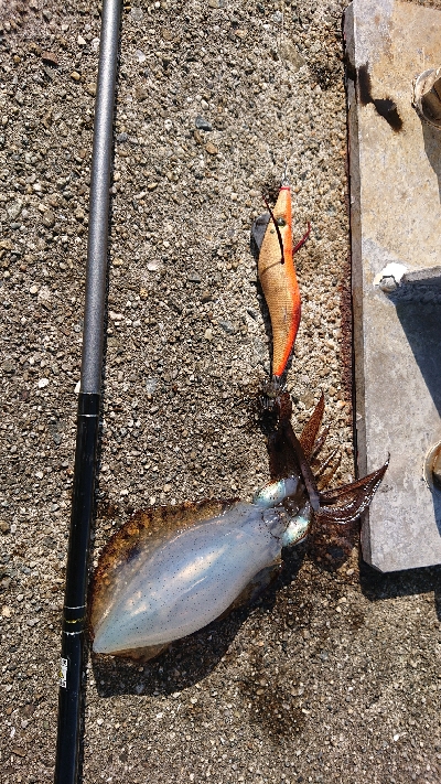 今年初ヤエンするも…