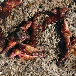 日帰り旅行ついでに