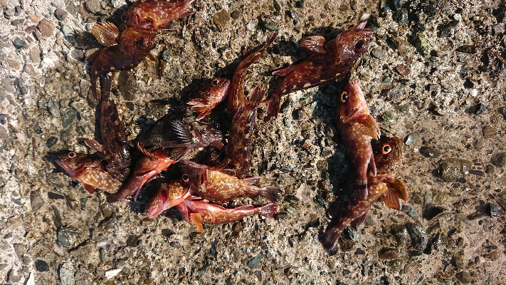 日帰り旅行ついでに