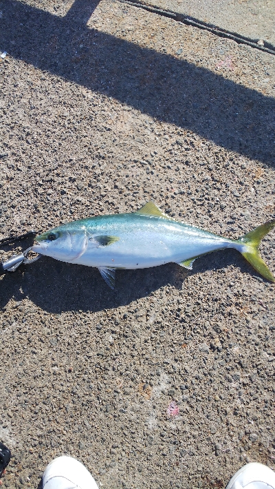 渋かったけど・・・