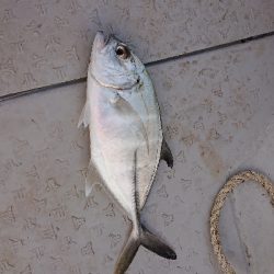 ボートキャスティング