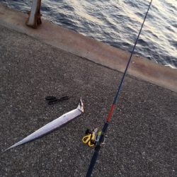 エエ感じの1時間