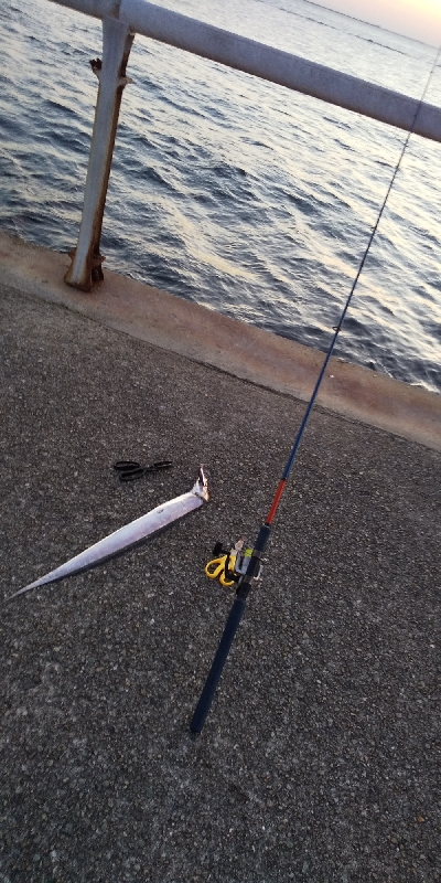 エエ感じの1時間