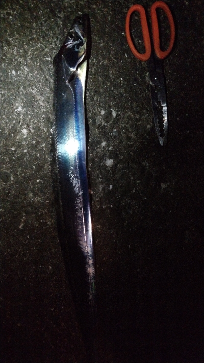 時合いなく単発