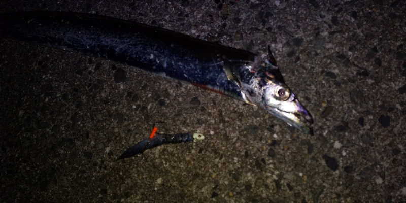 時合いはあっちゅう間