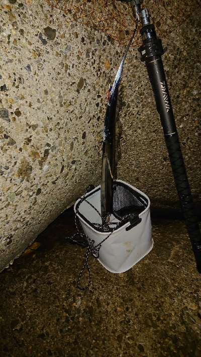 青物今日はお休み？