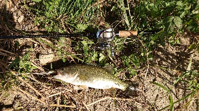 マキマキパターン