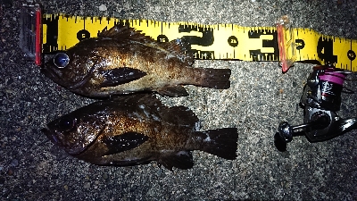 仕事終わりメバリング