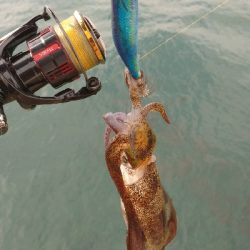 午後からエキング