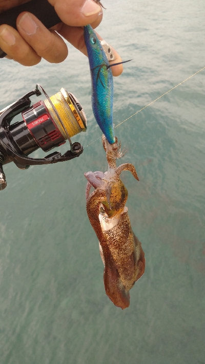 午後からエキング