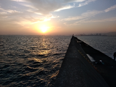 エサはキビナゴで(>_<)